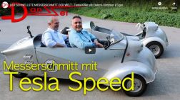 BuzzingDanZei im Betterschmitt Tiger